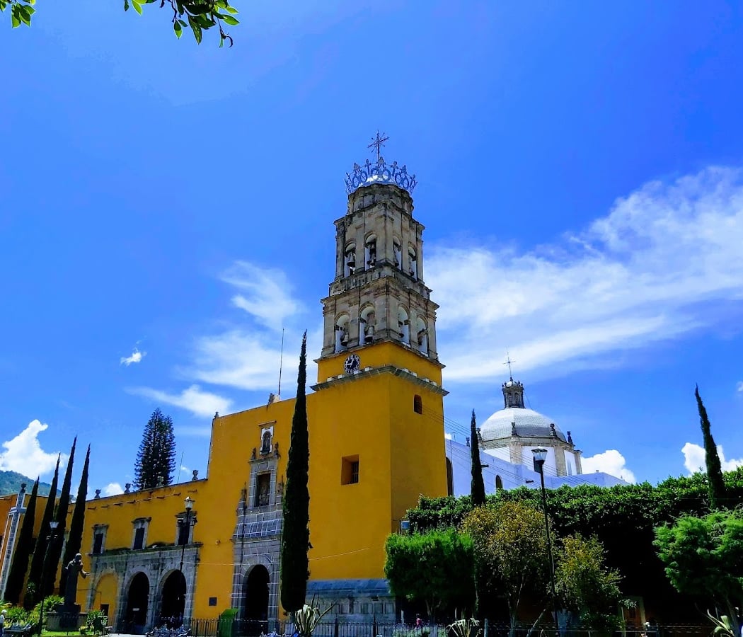 Tianguis de las Pulgas